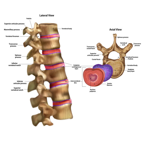 What are Some of the Treatments for Spinal Cord or Back and Neck Injuries