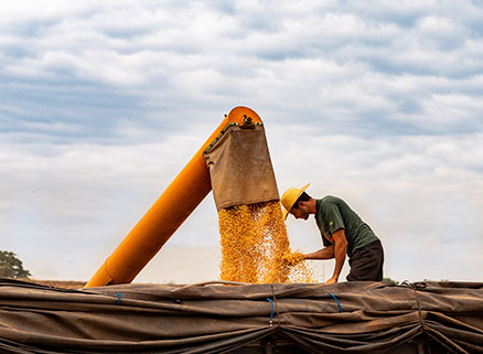 4 Types of Agriculture Worker Injuries Leading to Permanent Disability Benefits