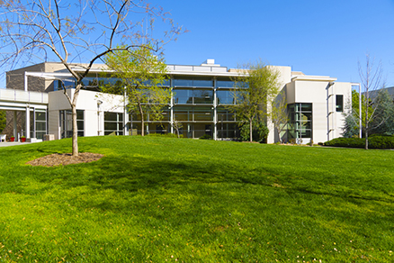 Davis Wrongful Death Attorneys