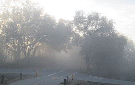 Nobody Saw It Happen: What to Expect in Personal Injury Claims with No Eyewitnesses